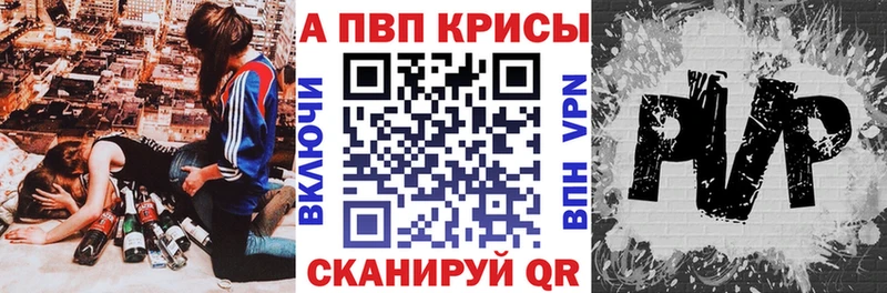 закладки  Кохма  APVP СК 